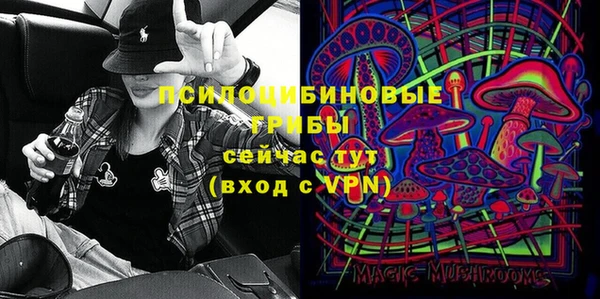 ГАЛЛЮЦИНОГЕННЫЕ ГРИБЫ Елизово