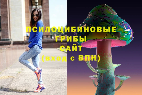 ГАЛЛЮЦИНОГЕННЫЕ ГРИБЫ Елизово
